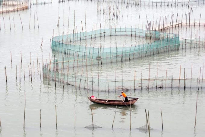 Ngành nuôi trồng thủy sản của Trung Quốc đang đối mặt với áp lực trở nên bền vững hơn với môi trường. Ảnh: Fishsite.