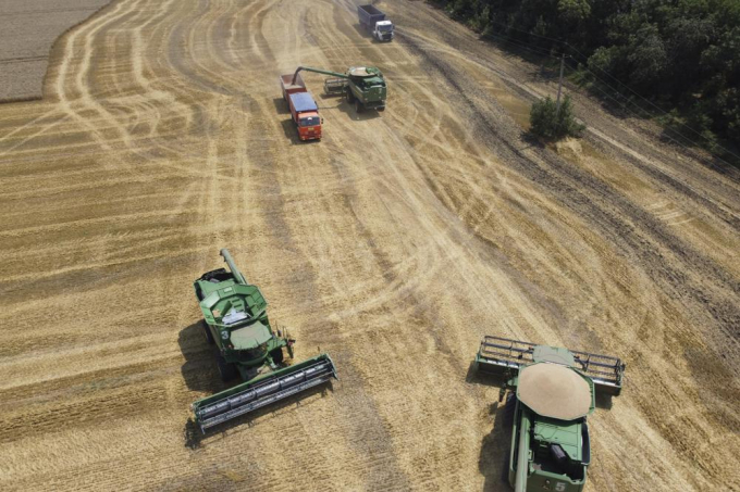 Nông dân thu hoạch trên ruộng lúa mì gần làng Tbilisskaya, Nga, ngày 21/7/2021. Trung Quốc lặp lại lời kêu gọi đàm phán để giải quyết cuộc khủng hoảng ở Ukraine trong khi từ chối chỉ trích cuộc tấn công của Moscow. Ngoài ra, Bắc Kinh đã chấp thuận nhập khẩu lúa mì của Nga. Ảnh: AP.