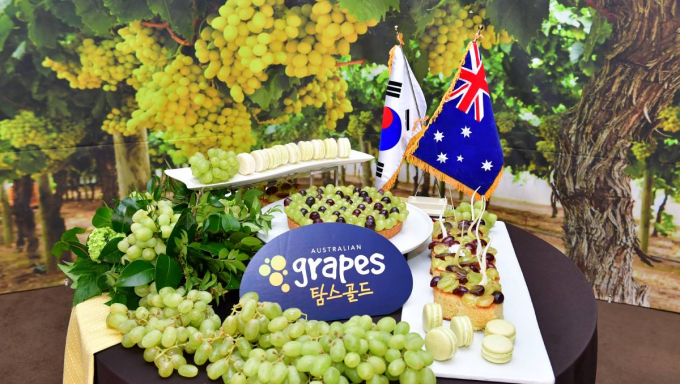 Nho chiếm tới 38% kim ngạch xuất khẩu trái cây của Úc. Ảnh: Horticulture Innovation Australia.