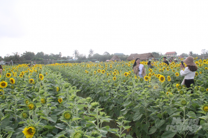 Ông Hà Văn Tuấn, Chủ tịch UBND TX. Hương Trà cho biết, thị xã đang có định hướng và khuyến khích phát triển nông nghiệp hữu cơ. Những nông trại như của ông Liệu ở Hương Xuân là hướng đi phù hợp. 