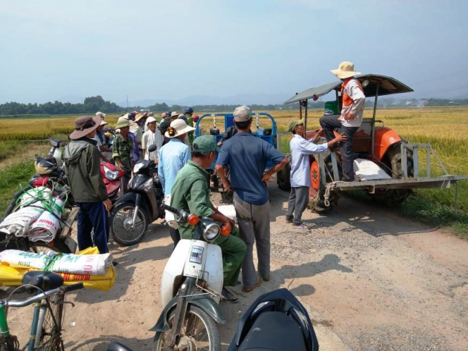 Nông dân phường Hương Long đổ xô ra đồng chầu chực chờ thuê máy gặt lúa cứu lúa bổ vụ đông xuân vừa qua. Ảnh: V.N.