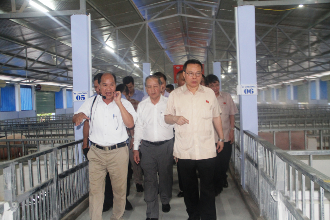 Phó Chủ tịch Quốc hội Phùng Quốc Hiển thăm khu nuôi lợn hướng hữu cơ, ATSH của Tập Đoàn Quế Lâm tại xã Phong Thu. Ảnh: Tiến Thành.