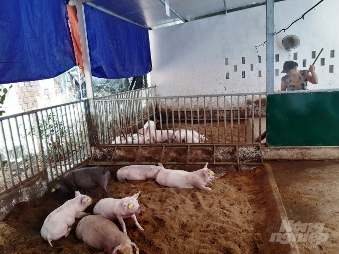Chuồng nuôi và thức ăn cho lợn nuôi theo mô hình an toàn sinh học luôn được đảm bảo . Ảnh: Tiến Thành.