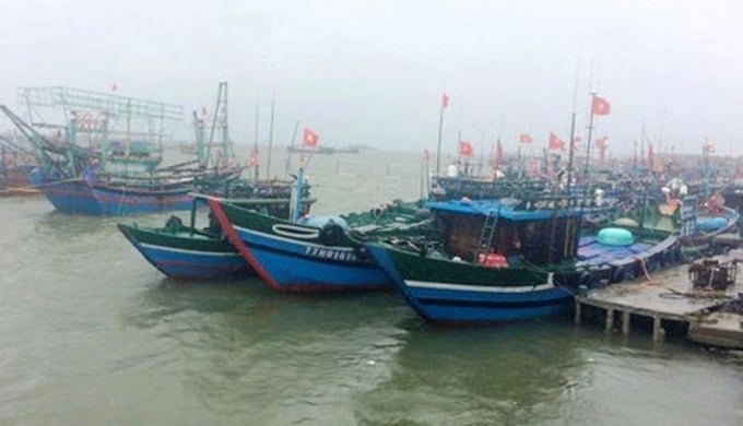 Tỉnh Thừa Thiên-Huế cấm tàu thuyền ra khơi, kêu gọi tàu thuyền vào bờ neo đậu an toàn đê tránh bão số 5. Ảnh: Tiến Thành.