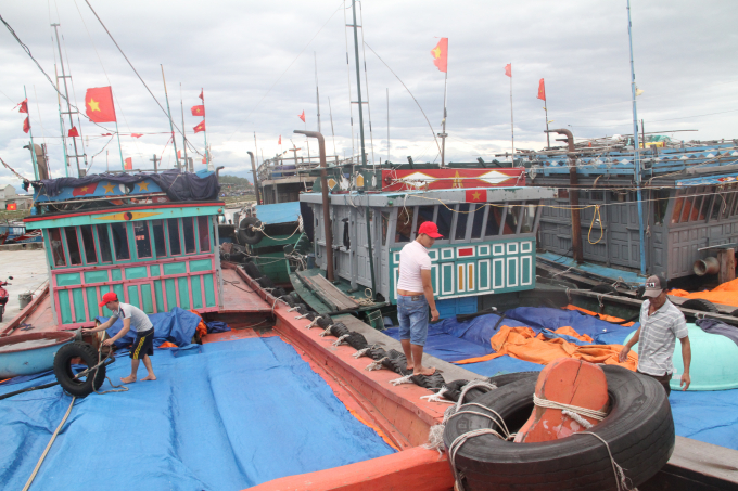 Tỉnh Thừa Thiên Huế đã cho phép tàu thuyền ra khơi sau thời gian cấm biển do ảnh hưởng của bão số 5. Ảnh: Tiến Thành.