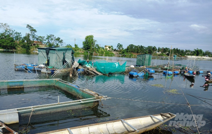 Người nuôi cá lồng trên sông Bồ đang chèo thuyền ra chăm sóc cá sau khi nguồn nước sông bị ô nhiễm sau mưa bão.