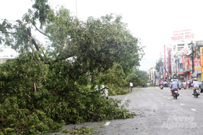 Theo Ban chỉ huy Phòng chống Thiên tai và Tìm kiếm cứu nạn  (PCTT&TKCN) Thừa Thiên - Huế, bão số 5 đã đổ bộ vào địa phương này vào sáng 18/9 và gây mưa lớn, gió giật mạnh cấp 8-9, có nơi gió giật cấp 11. Do ảnh hưởng của bão số 5, ở Thừa Thiên - Huế đã có 1 người chết và 95 người bị thương.