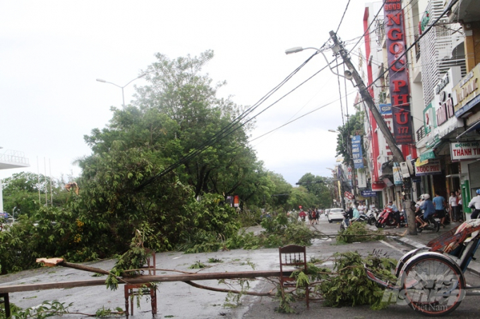 Hơn 2.000 trạm biến áp, hàng trăm cột điện ở Thừa Thiện - Huế bị gãy và hư hại, gây mất điện cho hơn 280.000 hộ dân trên toàn tỉnh.