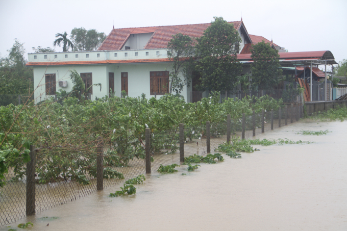 Hơn 1.000 nhà dân ở các địa phương thấp trũng của tỉnh Thừa Thiên - Huế ngập úng do mưa lớn nhiều ngày qua. Ảnh: Tiến Thành.