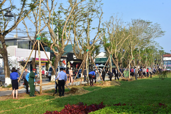 Hàng chục cây xanh đã được trồng ở đường Lê Huân, TP. Huế. Ảnh: T.T.