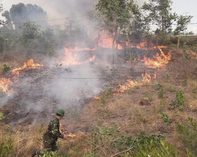 Những vụ hỏa hoạn liên tục những ngày qua đã khiến gần 200 ha rừng ở thị xã Hương Thủy, tỉnh Thừa Thiên- Huế bị thiệt hại. Ảnh: T.T