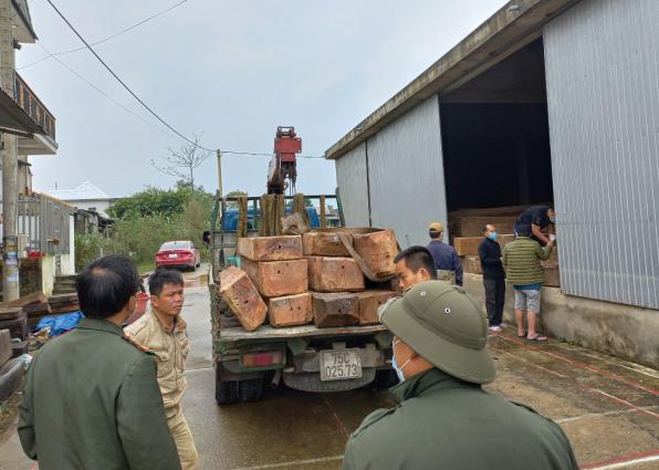 Lực lượng chức năng còn phát hiện số lượng lớn gỗ Chua không rõ nguồn gốc tại một xưởng gỗ ở xã Quảng Thành. Ảnh: T.T.