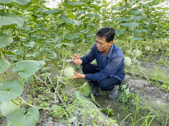 Ông Trịnh Văn Vị quyết tâm làm nông nghiệp sạch để mang sản phẩm tốt nhất đến tay người tiêu dùng. Ảnh: Tiến Thành