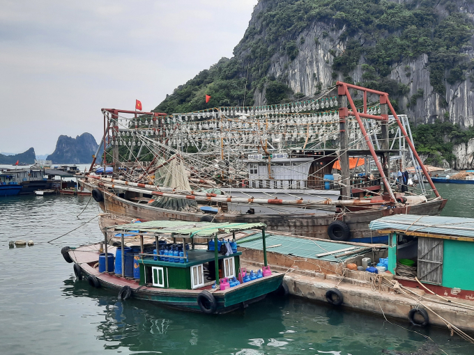 Theo Thứ trưởng Phùng Đức Tiến, tỉnh Quảng Ninh cần kiểm soát hoạt động khai thác thủy sản, giảm cường độ khai thác bằng cách giảm số lượng tàu, nâng cấp cơ sở hạ tầng cảng biển để quản lý tàu khai thác. Ảnh: Huy Bình.