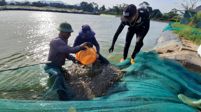 Bên cạnh chăn nuôi, Quảng Ninh cũng đang siết chặt quản lý sử dụng kháng sinh trên thủy sản. Ảnh: Nguyễn Thành.