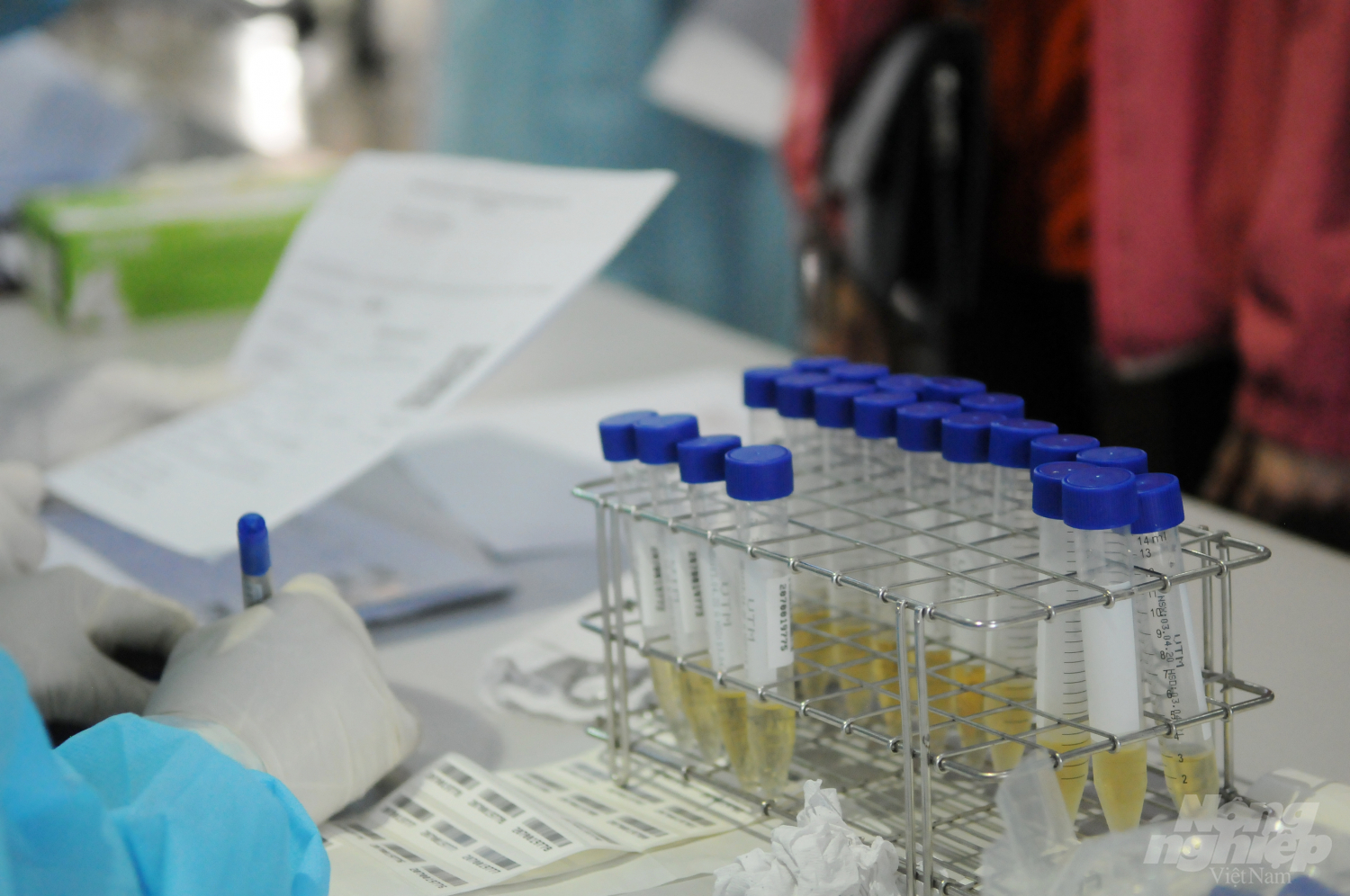 Các mẫu bệnh phẩm được lấy để xét nghiệm virus SARS-CoV-2. Ảnh: Linh Linh.