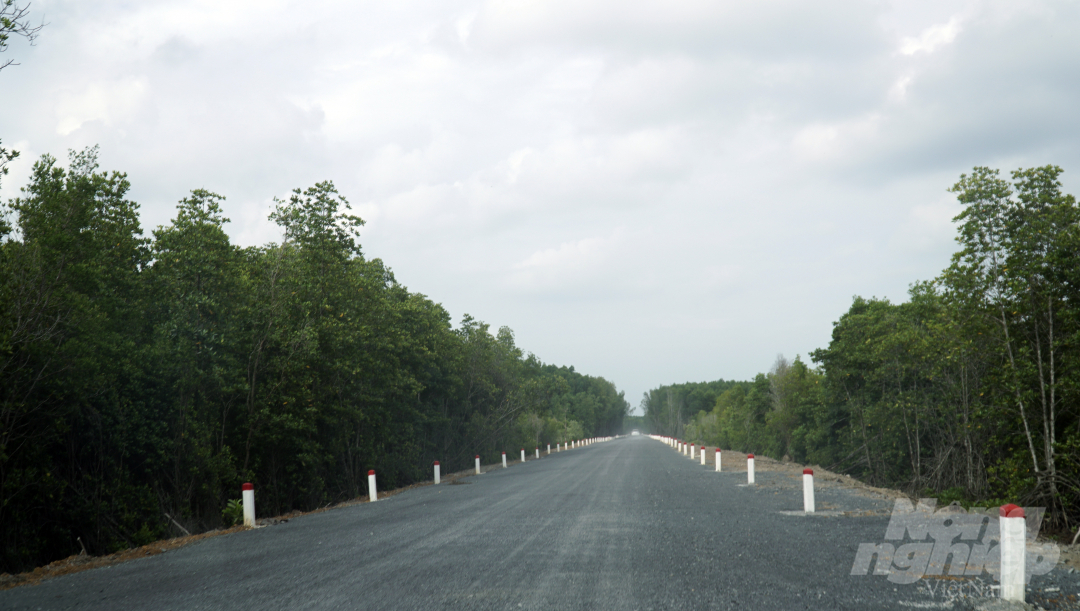Con đường dẫn tới Khu du lịch Rừng Sác - Cần Giờ. Ảnh: Nguyễn Thủy.