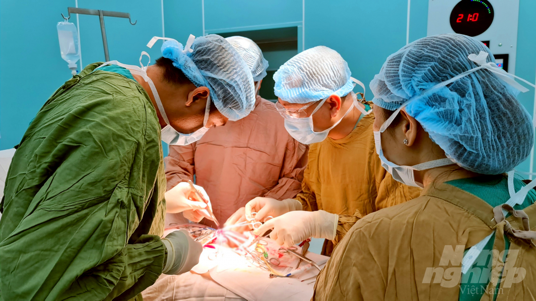 Các bác sĩ Khoa Ngoại Tiết niệu Bệnh viện Quân y 175 phẫu thuật nối dương vật cho nam thanh niên 20 tuổi. Ảnh: Văn Chính.