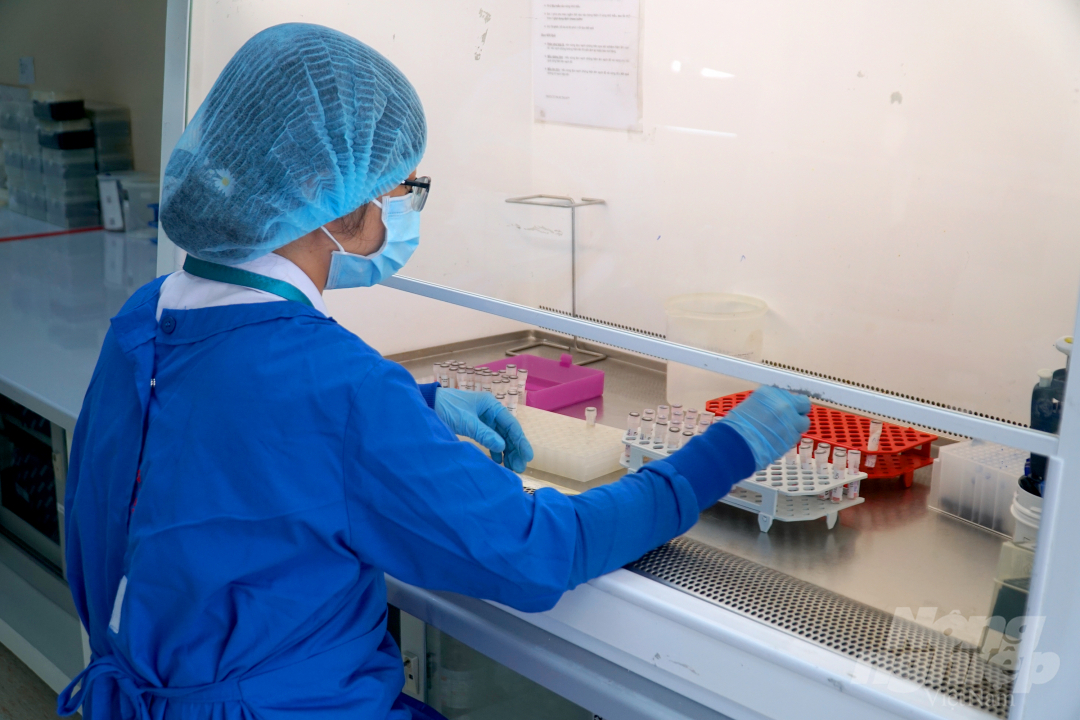 Nhân viên y tế Bệnh viện Bệnh Nhiệt đới TP.HCM thực hiện xét nghiệm tìm virus SARS-CoV-2. Ảnh: Nguyễn Thủy.