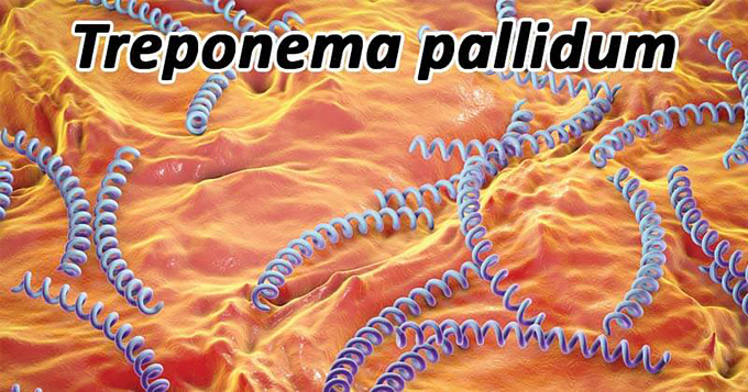 Giang mai là một bệnh lây truyền qua đường tình dục do xoắn khuẩn Treponema pallidum gây ra.