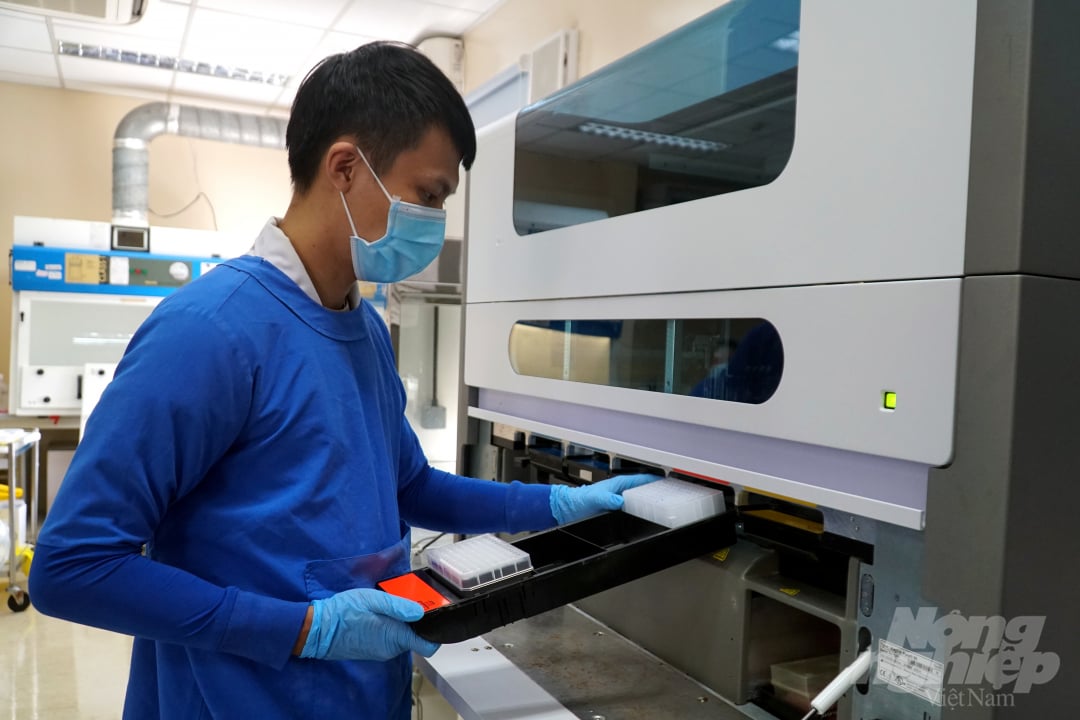 Mẫu bệnh phẩm của bệnh nhân được đưa vào máy tách chiết tại Khoa Xét nghiệm, Bệnh viện Bệnh Nhiệt đới TP.HCM. Ảnh: Nguyễn Thủy. 
