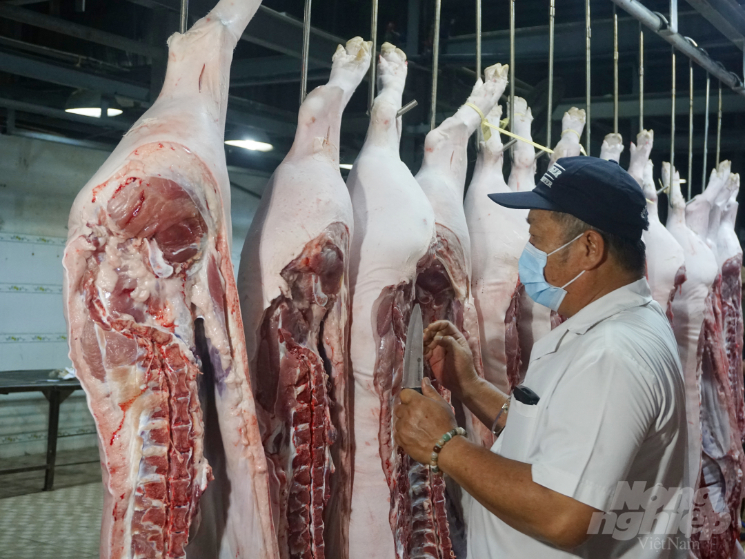 Tại Chợ Đầu mối nông sản thực phẩm Hóc Môn đã xuất hiện 19 trường hợp mắc Covid-19 và một số ca bệnh có liên quan đến các chợ khác. Ảnh: Nguyễn Thủy.