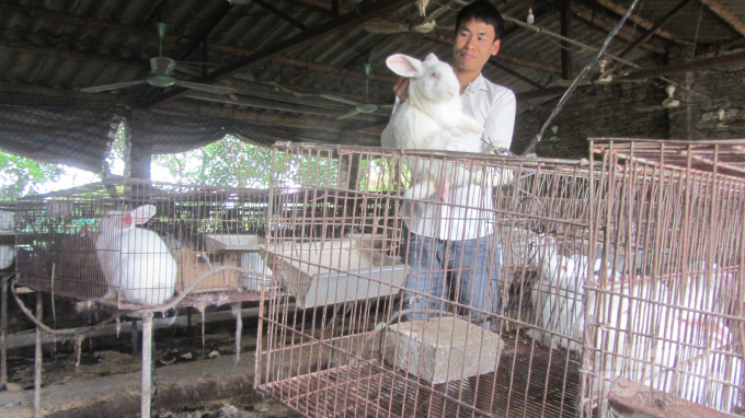 Chủ trang trại nuôi thỏ quy mô 3.000 con Lê Quang Hãnh. Ảnh: Hải Tiến.