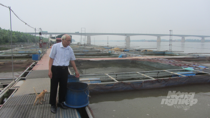 Nuôi cá lồng bè trên sông ở HTX Thủy sản Hưng Hải. Ảnh: H.Tiến.