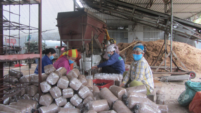 Nhiều công đoạn nuôi trồng nấm nặng nhọc và tốn công lao động nay đã được tự động hóa. Ảnh: H.Tiến.