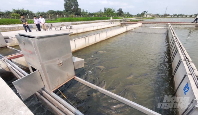 Nuôi cá sông trong ao công nghệ cao trong nuôi trồng thủy sản nước ngọt