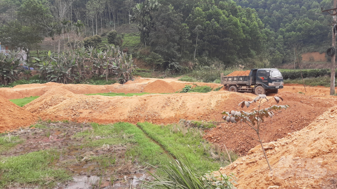 Xe tải đang tiến hành đổ đất xuống ruộng tại xóm Hợp Thành, xã Trung Hội, huyện Định Hóa. Ảnh: T.N.