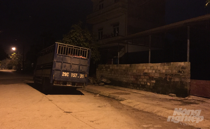 Một xe lợn khoảng hơn 2 tấn đỗ trước lò mổ của bà Nông Thị Kiều, tổ 5, thị trấn Trùng Khánh, huyện Trùng Khánh lúc nửa đêm. Ảnh: Kông Hải.