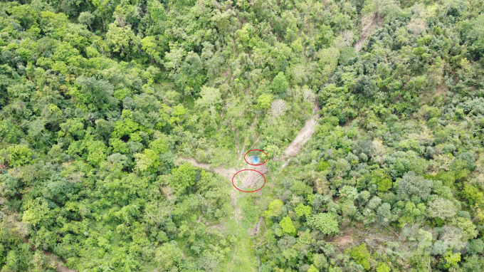 Diện tích rừng bị khai thác trái phép khoảng hơn 4ha. Ảnh: Toán Nguyễn.