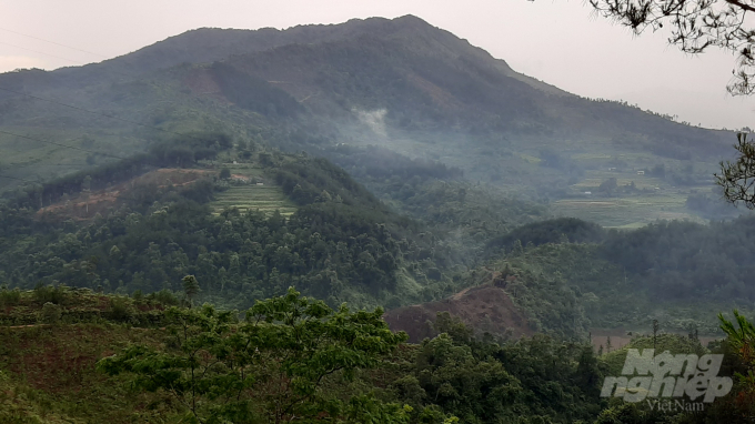 Khu rừng nằm ở địa phận thôn Pù Mò, xã Bằng Khẩu, huyện Ngân Sơn. Ảnh: Toán Nguyễn.