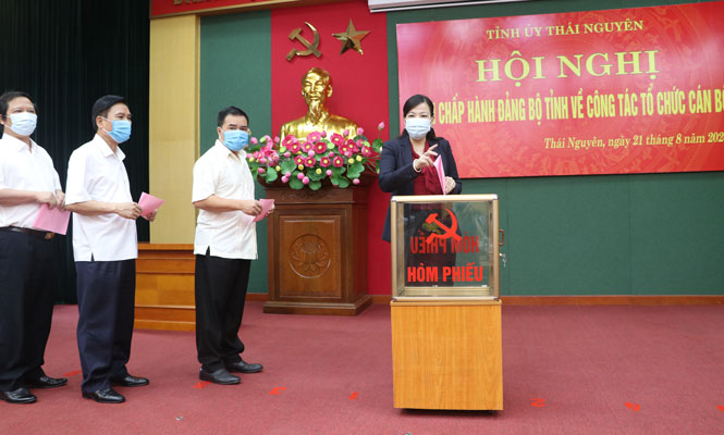 Bà Nguyễn Thanh Hải, Bí thư Tỉnh ủy Thái Nguyên bỏ phiếu bầu chức danh Phó Bí thư Tỉnh ủy. Ảnh Thúy Hằng.