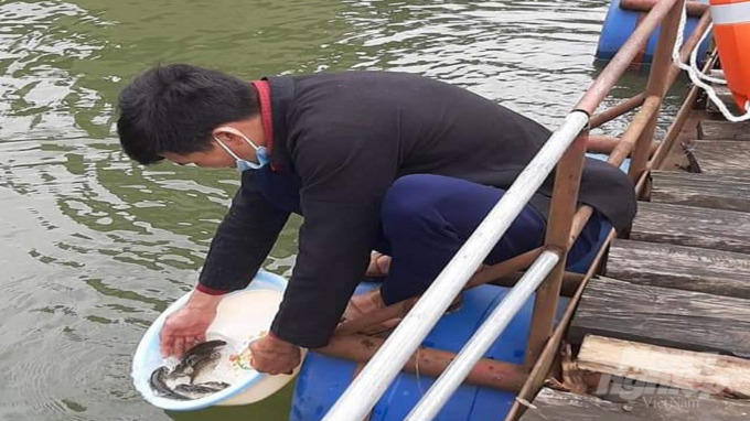 Khoảng 16.300 con giá giống đã được thả xuống hồ Bản Chang. Ảnh: Toán Nguyễn.
