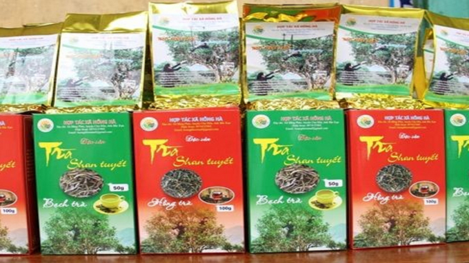 Một số sản phẩm trà Shan tuyết Bắc Kạn trên thị trường hiện nay. Ảnh: Phạm Hiếu.