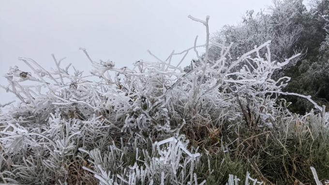 Băng tuyết xuất hiện dày đặc tại vùng núi Phja Oắc, huyện Nguyên Bình, Cao Bằng. Ảnh: Hà Cương.