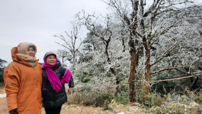 Hàng ngàn du khách đã kéo nhau tới đỉnh Phja Oắc, huyện Nguyên Bình, Cao Bằng để chiêm ngưỡng và chơi đùa với băng tuyết. 