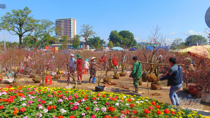 Quang cảnh chợ hoa tại Quảng trường Võ Nguyên Giáp.