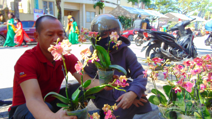 Một chủ bán lan (áo đỏ) đang chọn hoa cho khách.