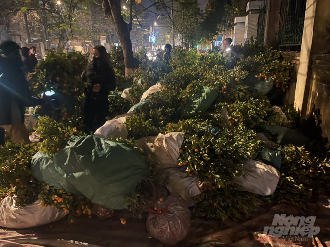 Khoảng 21h ngày 30 Tết, nhưng chợ hoa Tết trung tâm TP. Thái Nguyên vẫn còn một số lượng lớn hoa đào và quất cảnh chưa bán hết. Vẫn còn nhiều người đến chợ và ép giá người buôn. 