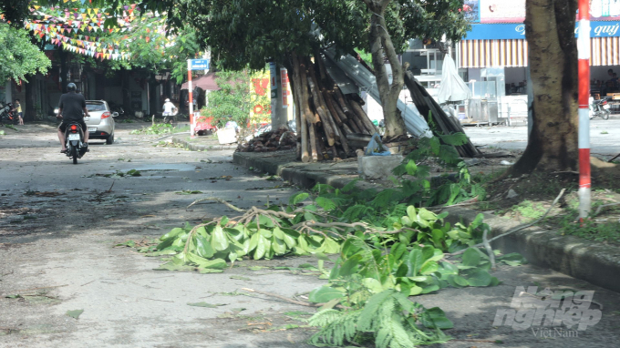Cành cây gãy dọc tuyến đường Đội Kỳ. Ảnh: Toán Nguyễn.