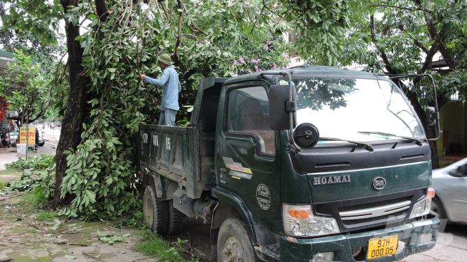 Những cây và cành lớn được thành phố Bắc Kạn huy động xe tải để thu dọn. Ảnh: Toán Nguyễn.