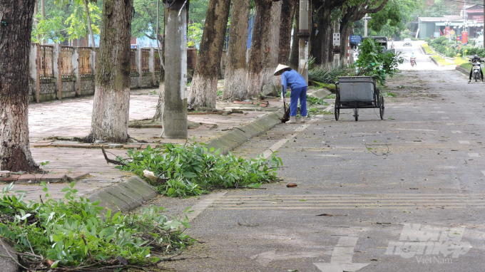 Công nhân vệ sinh đô thị thu dọn cành cây gãy trên đường Hùng Vương. Ảnh: Toán Nguyễn.