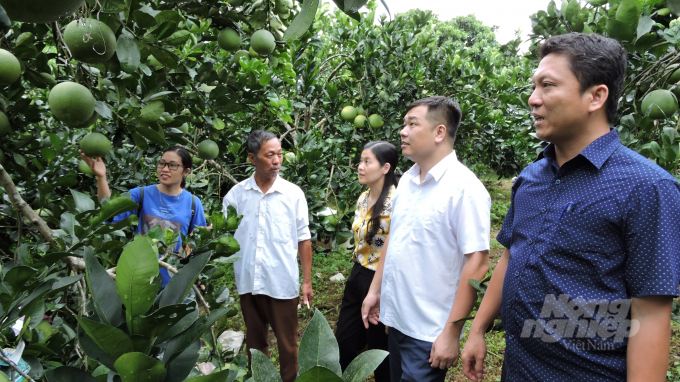 Cán bộ của Chi cục Phát triển nông thôn Thái Nguyên thường xuyên xuống cơ sở nắm tình hình sản xuất nông nghiệp để có hướng hỗ trợ phù hợp cho bà con. Ảnh: Toán Nguyễn.