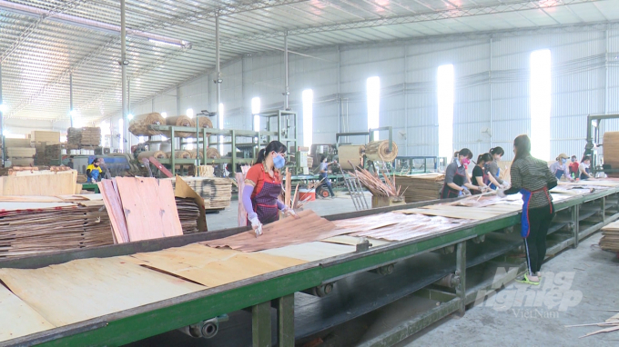Tiềm năng của lĩnh vực chế biên gỗ tại tỉnh Bắc Kạn còn rất lớn. Ảnh: Toán Nguyễn.