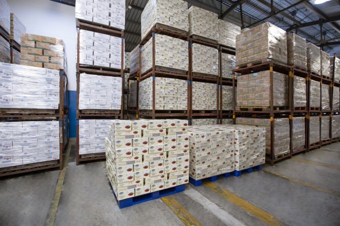 Các sản phẩm sữa hạt của Vinamilk chuẩn bị lên đường xuất khẩu phục vụ người tiêu dùng Hàn Quốc. Ảnh: Xuân Hương.