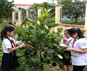 Các em học sinh chăm sóc vườn cây được 'Quỹ 1 triệu cây xanh cho Việt Nam' trao tặng, học cách phân biệt các loại cây, tìm hiểu lợi ích của cây với môi trường và cuộc sống. Ảnh: Dũng Thanh.