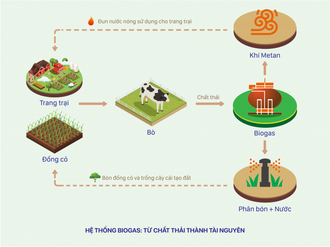 Mô hình 'kinh tế tuần hoàn' ứng dụng trong hệ thống Biogas và vòng tròn quản lý nguồn đất bền vững tại các trang trại bò sữa Vinamilk. Ảnh: Đỗ Hưng.
